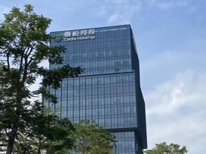 山东化工巨头控股股东重整未了局：担保惹来巨额或有债务 齐翔腾达控制权生不确定性
