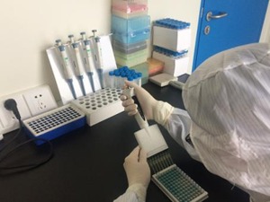 沪深交易所表态，从严审核涉核酸检测企业IPO 投行人士：外界担心并非没有道理