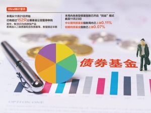 债基成“限购”主力品种 各类债基指数本周开始“回血”