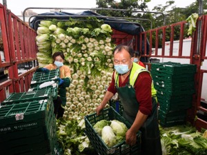 疫情防控转运工作人员应佩戴蓝袖标！重庆最新通报：新增本土209+8583