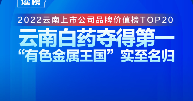 读榜丨2022云南上市公司品牌价值榜TOP20：云南白药夺得第一，“有色金属王国”实至名归