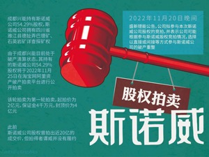 斯诺威股权第三轮竞拍启动 宁德时代“半路杀出”添变数？