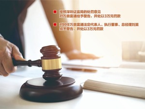 深圳万鼎富通股权投资被处罚