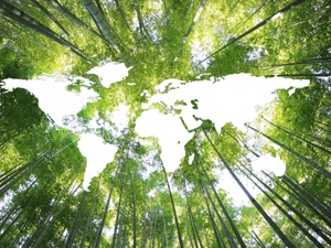 ESG理念知易行难  专家：企业转型需重视ESG治理体系建设