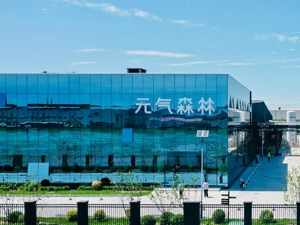 减糖行动持续，突围后的元气森林走得更稳了