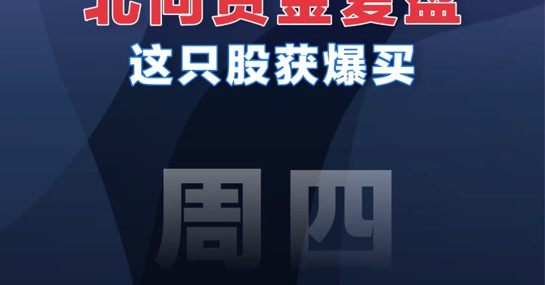 【12.08北向资金】北向资金复盘这只股获爆买