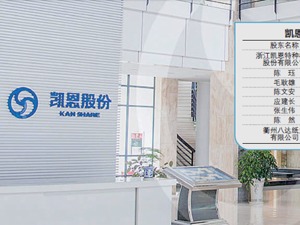 凯恩股份重大资产出售 深交所问：是否存在利益输送？
