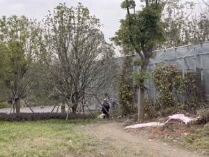 看房无门，电话不接，“不希望项目被关注”，上海“神秘豪宅”为什么这么做？