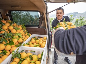 扩内需出台最新战略规划纲要：到2035年城乡居民人均收入再迈上新的大台阶、中等收入群体显著扩大……