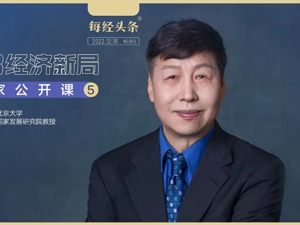 北大国发院教授林双林：对地方政府的考核维度应加入债务，应降低个税最高边际税率 | 重磅专访
