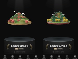 打造县域数字藏品 鲸探联合网商银行推出“宝藏县域”计划 助力乡村振兴