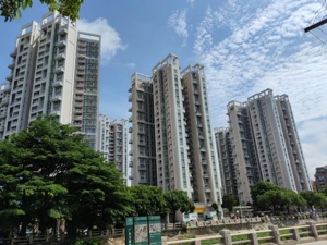 放开限购首周东莞迎“标志性一幕”：咨询量大增，新房周成交量环增950%