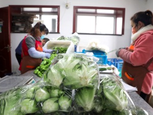 国务院：确保春节市场供应充足和价格平稳 千方百计提高医疗、防疫物资供给能力