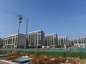 时代中国：为促进离岸债整体管理 将暂停支付6笔境外美元优先票据款项