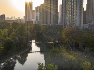 获评“最美道路绿化景观” 成都成华将“绿色颜值”转化为“生态价值”