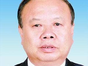 最新！王雪峰被查