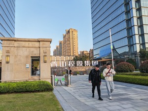 “镍王”显影：豪赌与博弈、狂飙与隐忍，3680亿青山控股的2022