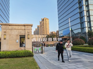 “镍王”青山控股年入3680亿：旗下瑞浦兰钧冲刺IPO 三年半亏超16亿