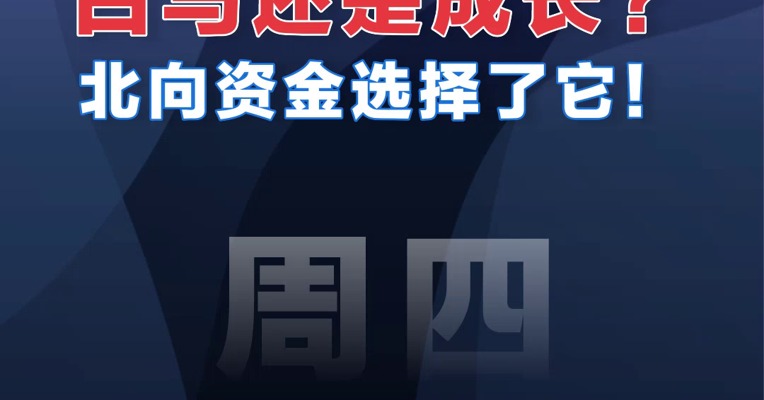 【01.19北向资金】白马还是成长？北向资金选择了它！