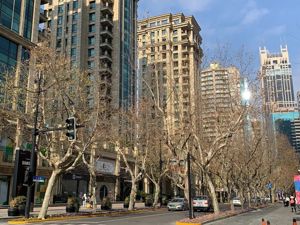 豪宅中介的一年| 在单价屡破30万元/平的区域卖房是一种什么体验？