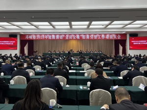 吹响开年冲锋号 成都邛崃举行建圈强链“全员全域”招商引智工作动员大会