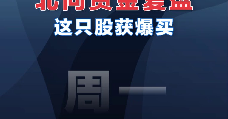 【02.06北向资金】北向资金复盘这只股获爆买