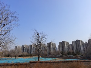 3宗触顶、3宗底价成交！北京6宗地揽金132亿，越秀独夺两宗成最大“黑马”