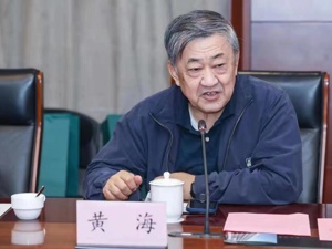 专访商务部原部长助理黄海：促消费政策显效带出节日市场“开门红”，推动消费长期稳定增长仍需在提高居民收入上下功夫