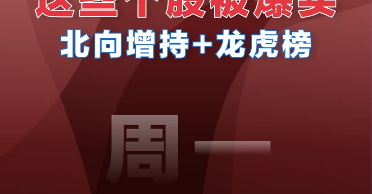 【02.13北向资金】追踪北向资金爆买股