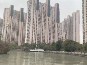 上海“最牛业委会”负责人：几百、几千一笔笔账，4000万是这样追回的