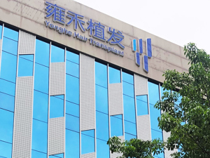 高端植发定价追赶特斯拉？雍禾医疗公布植发“一口价”