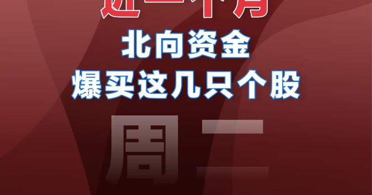 【02.21北向资金】近一个月北向资金爆买这几只个股