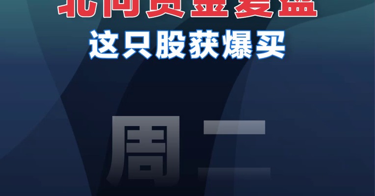 【02.21北向资金】北向资金复盘这只股获爆买