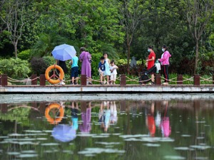 生态环境部回应每经：今年计划完成800余条农村黑臭水体整治