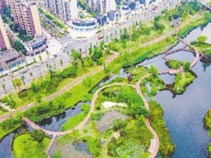 这一国家级盛会，为何连续两次都在成都举办？
