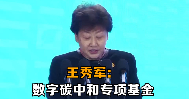 中国互联网发展基金会理事长王秀军：数字碳中和专项基金已筹集2400余万元