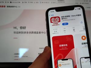 跨境“新生代”① | 披“低价”战袍、近亿元“砍”下超级碗1分钟 Temu的目标不是Shein