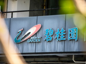 碧桂园刚刚公告：杨国强辞任主席，二女儿杨惠妍接任