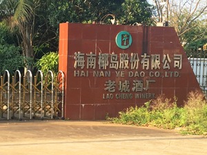 东方君盛持股被拍卖 海南椰岛谁将主导？