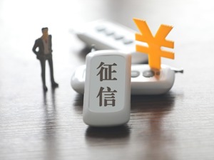 全国人大代表、重庆市南岸区委书记许洪斌：为个人征信行业可持续健康发展 建议建立健全个人征信机构管理制度