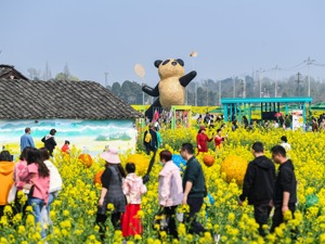 每经热评丨着力扩大国内需求 提振消费已“箭在弦上”