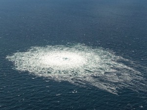 “西方调查称‘北溪’是海豚炸毁的，我也不会惊讶”