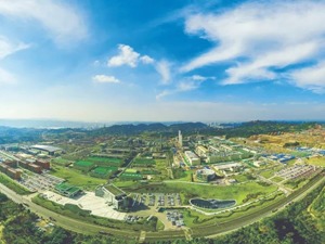 全国人大代表、全国工商联副主席、通威集团董事局主席刘汉元：尊重知识、尊重创新、尊重社会各主体 保护民营经济积极性