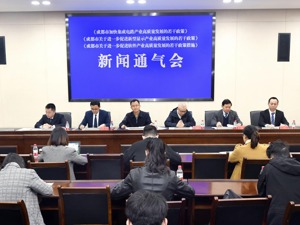 最高5亿元支持 成都出台政策助力万亿级电子信息产业生态圈建设