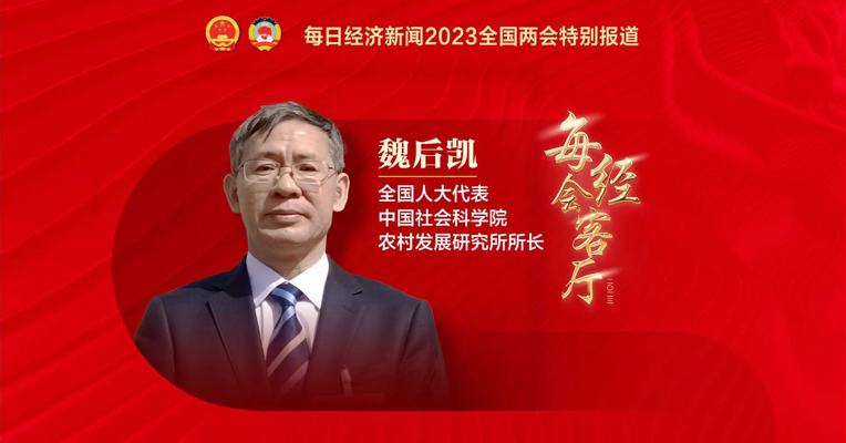 专访全国人大代表、中国社科院农发所所长魏后凯：我国粮食年进口量超亿吨，仍处于紧平衡
