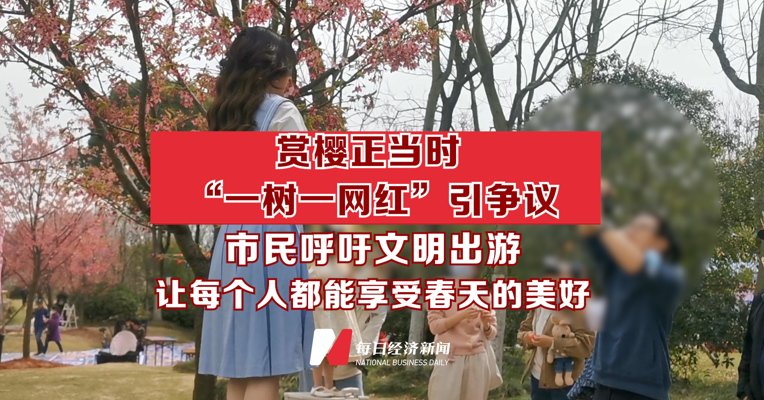 赏樱正当时 “一树一网红”引争议 市民呼吁文明出游 让每个人都能享受春天的美好
