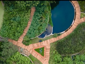 Mosquito-free Park Opens in Chengdu