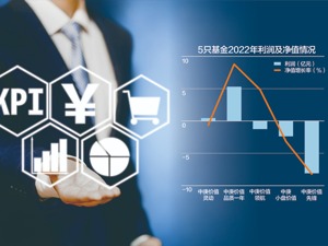 中庚基金发布旗下5只基金2022年年报：3只基金亏 港股已配至最高比例
