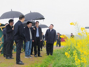 袁延文被查，本周曾赴长沙、益阳调研
