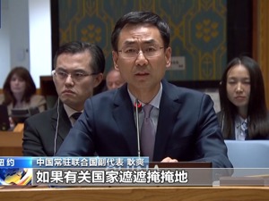 安理会未通过调查北溪事件决议草案！中方发声：有关国家阻挠对“北溪”爆炸进行国际调查，令人怀疑其另有隐情
